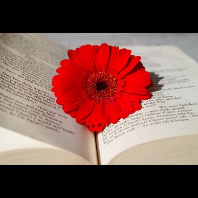 福岡市城南区で、要介護の方、訪問介護支援可能です。株式会社　千のめぐみ